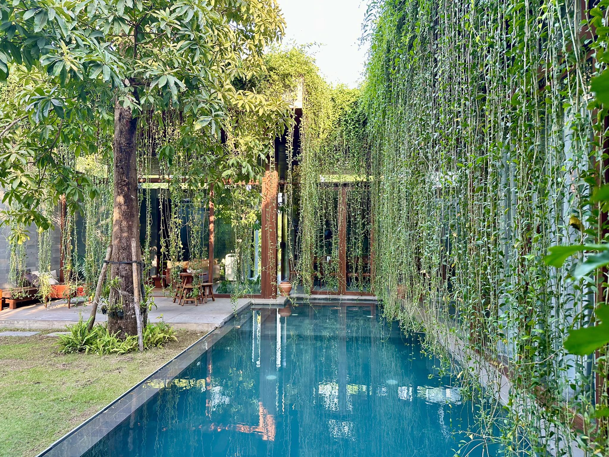 Villa pool area with lush greenery